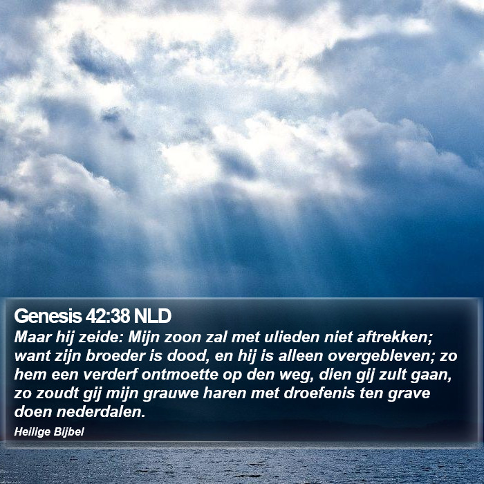 Genesis 42:38 NLD Bible Study