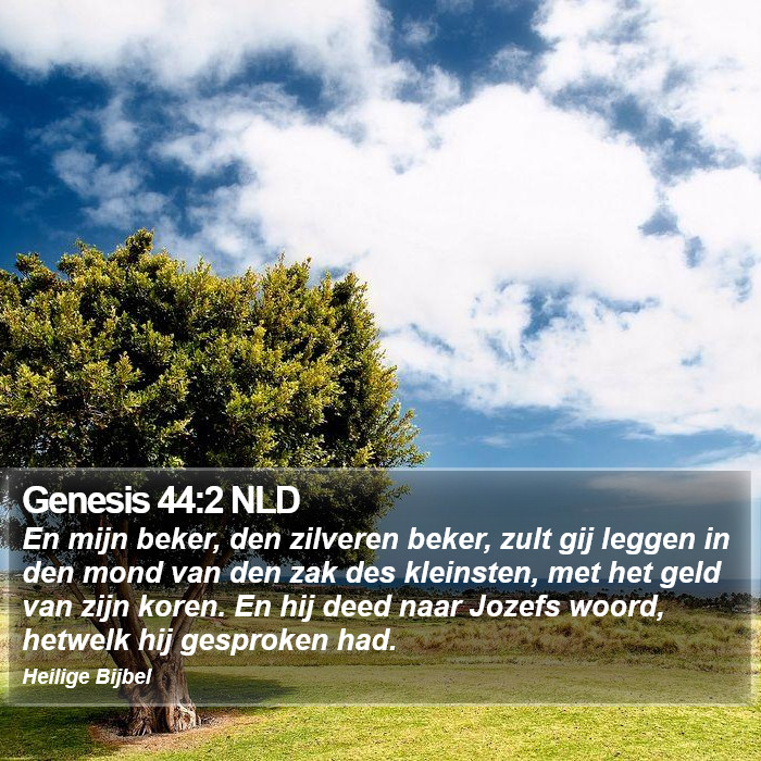 Genesis 44:2 NLD Bible Study