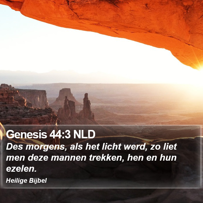 Genesis 44:3 NLD Bible Study