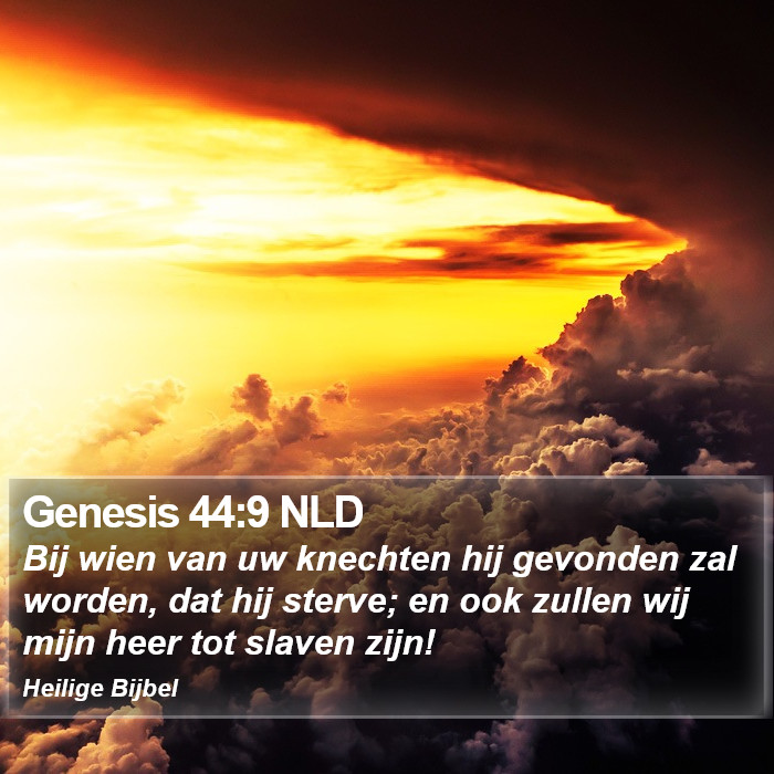 Genesis 44:9 NLD Bible Study