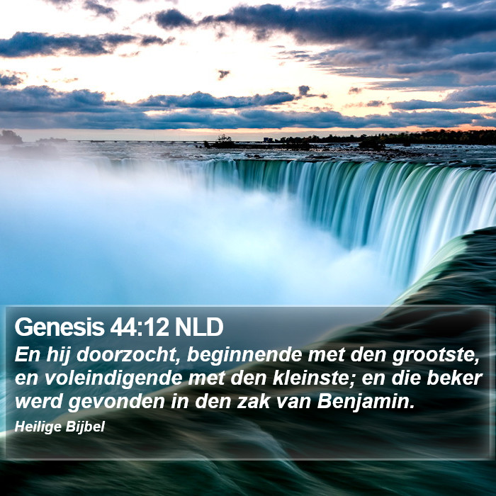 Genesis 44:12 NLD Bible Study