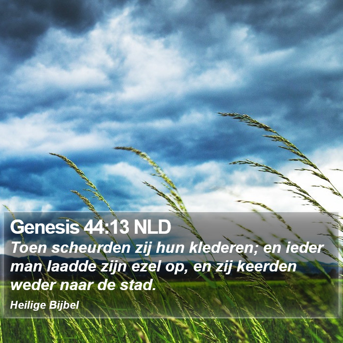 Genesis 44:13 NLD Bible Study