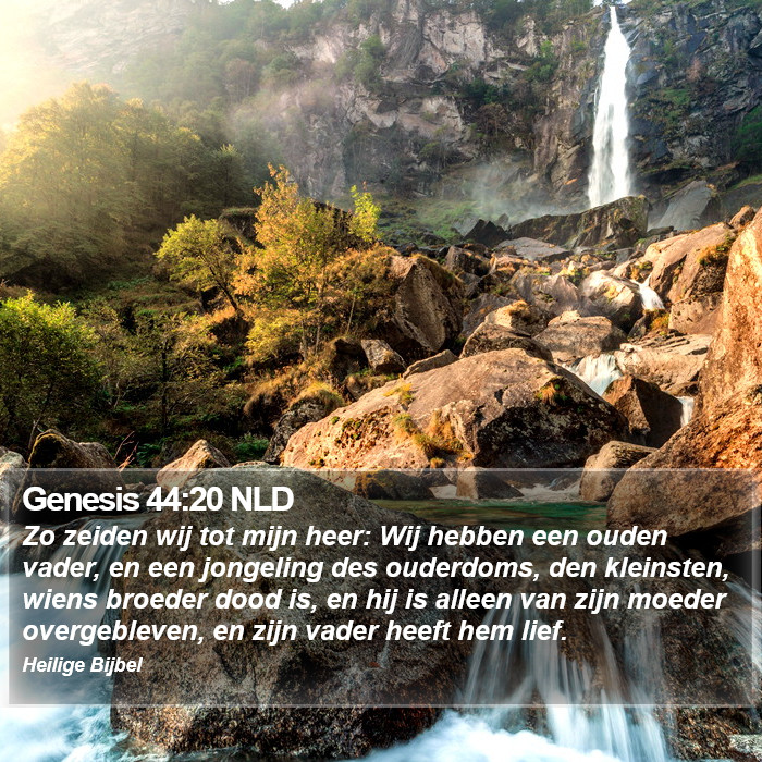 Genesis 44:20 NLD Bible Study