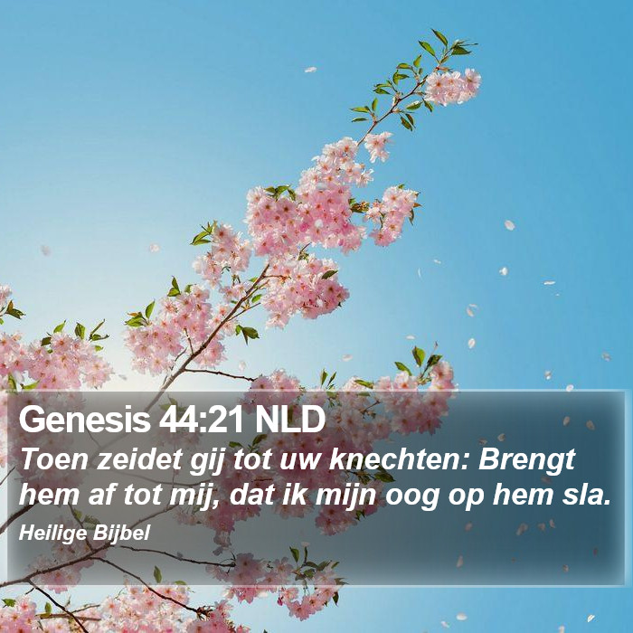 Genesis 44:21 NLD Bible Study