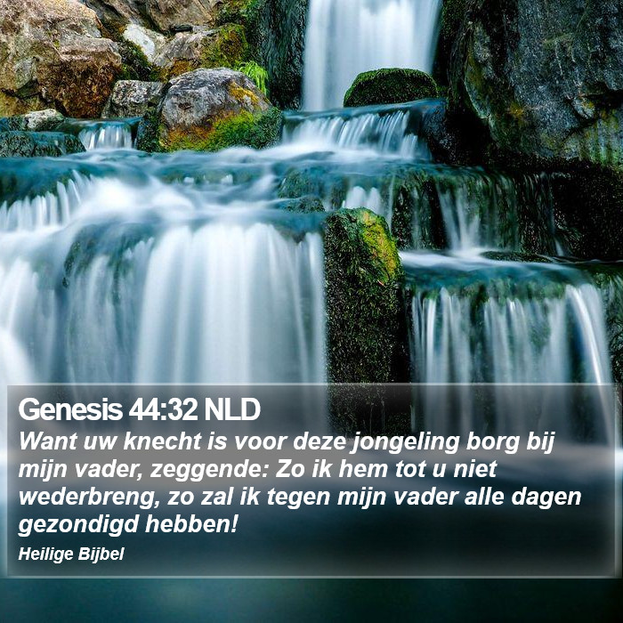 Genesis 44:32 NLD Bible Study