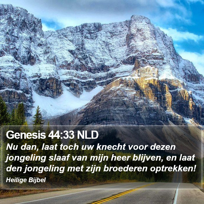 Genesis 44:33 NLD Bible Study