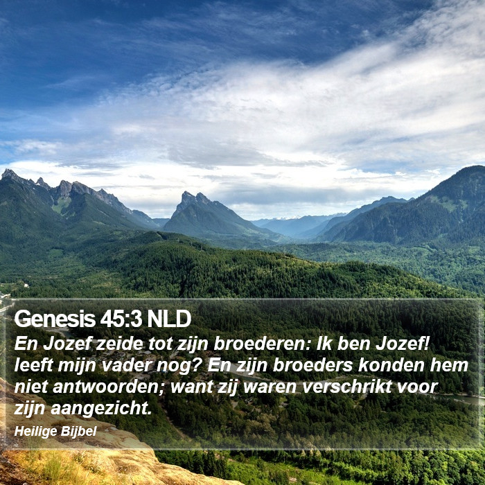 Genesis 45:3 NLD Bible Study
