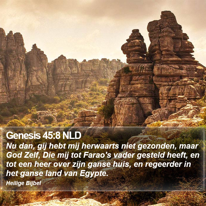 Genesis 45:8 NLD Bible Study