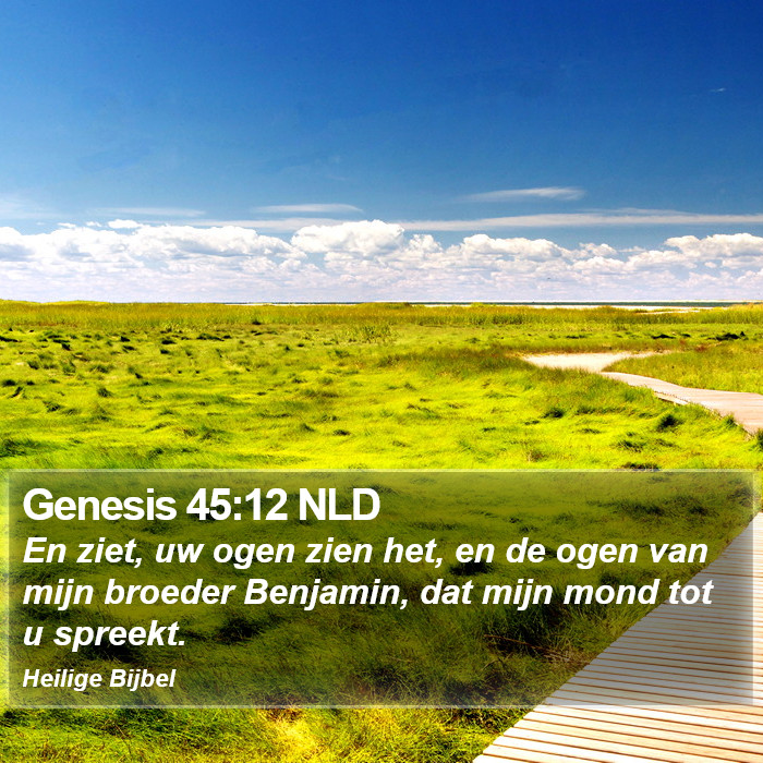 Genesis 45:12 NLD Bible Study