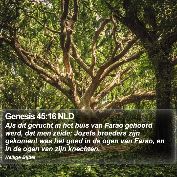 Genesis 45:16 NLD Bible Study