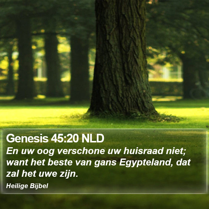 Genesis 45:20 NLD Bible Study