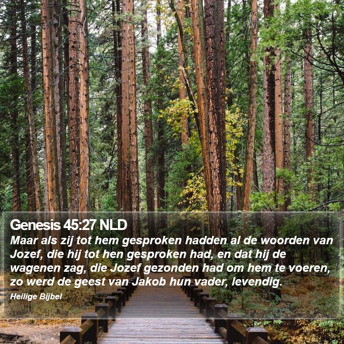 Genesis 45:27 NLD Bible Study