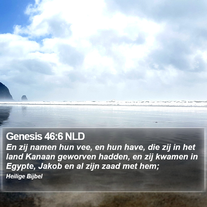 Genesis 46:6 NLD Bible Study