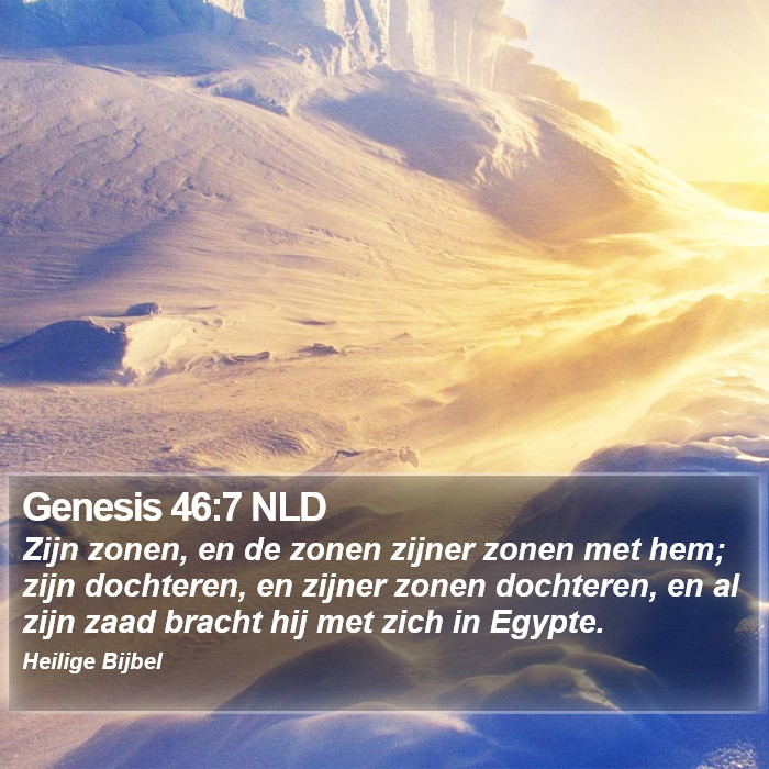 Genesis 46:7 NLD Bible Study