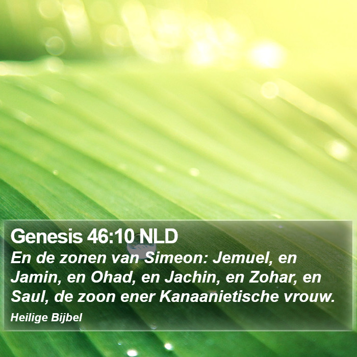 Genesis 46:10 NLD Bible Study