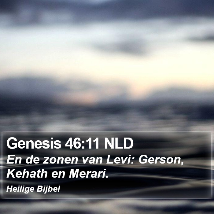 Genesis 46:11 NLD Bible Study