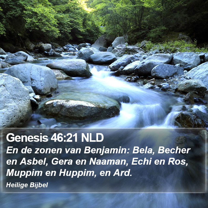 Genesis 46:21 NLD Bible Study