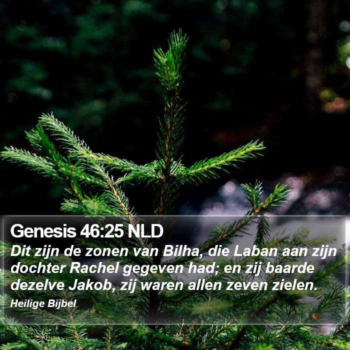 Genesis 46:25 NLD Bible Study