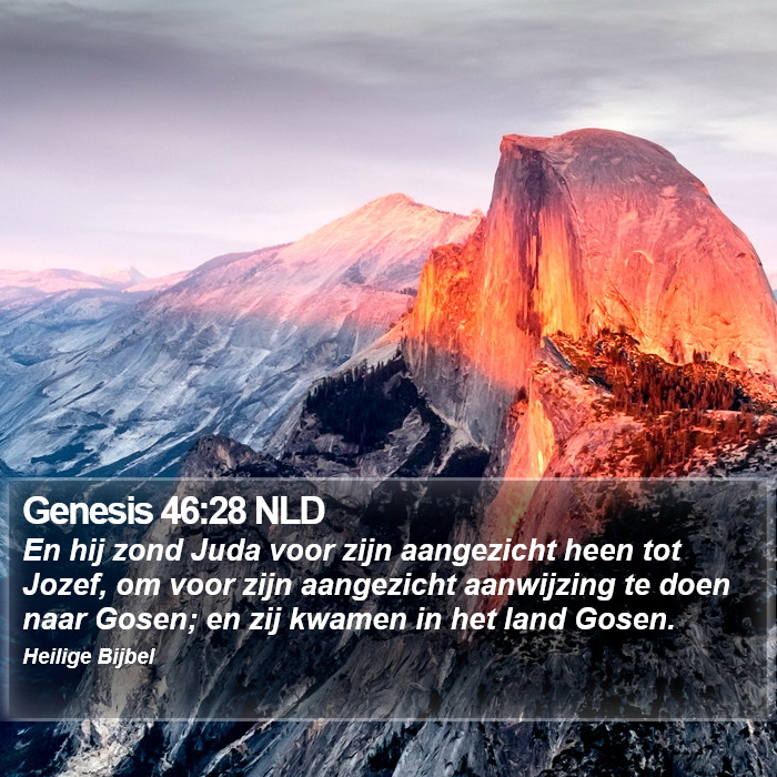 Genesis 46:28 NLD Bible Study
