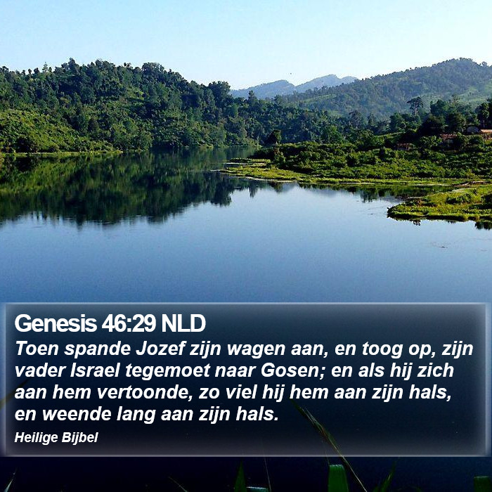 Genesis 46:29 NLD Bible Study