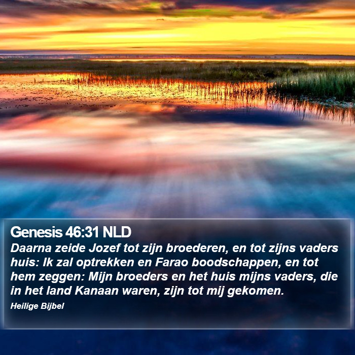 Genesis 46:31 NLD Bible Study