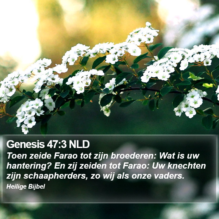 Genesis 47:3 NLD Bible Study