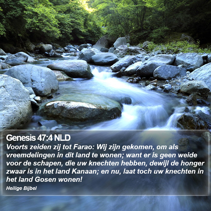Genesis 47:4 NLD Bible Study