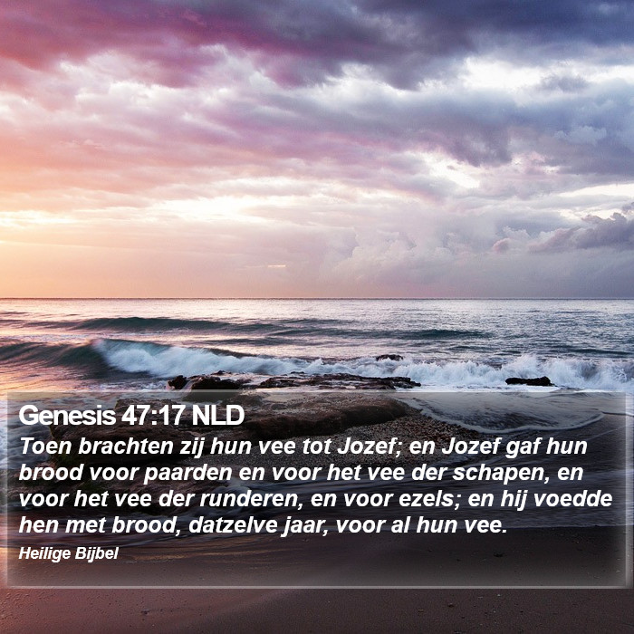 Genesis 47:17 NLD Bible Study