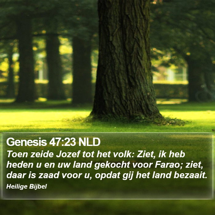 Genesis 47:23 NLD Bible Study