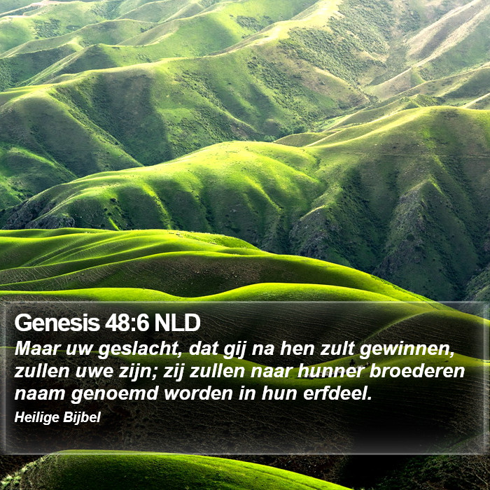 Genesis 48:6 NLD Bible Study