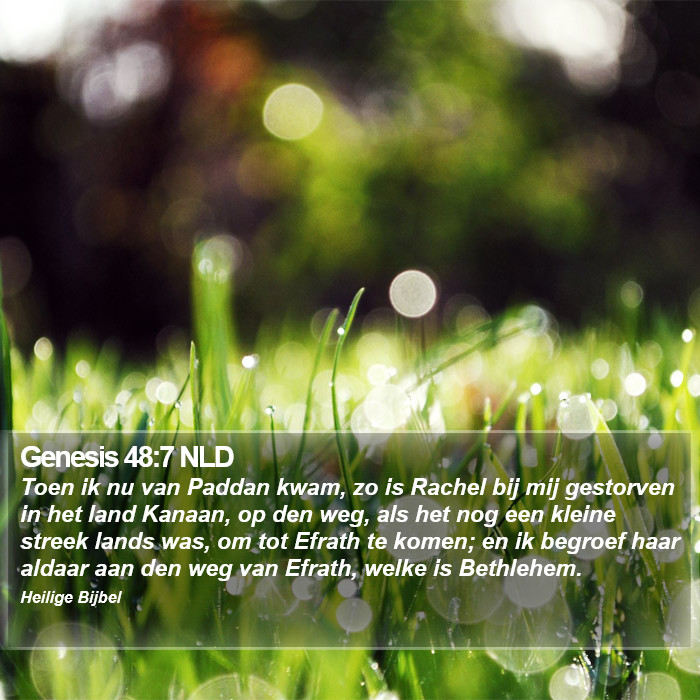 Genesis 48:7 NLD Bible Study
