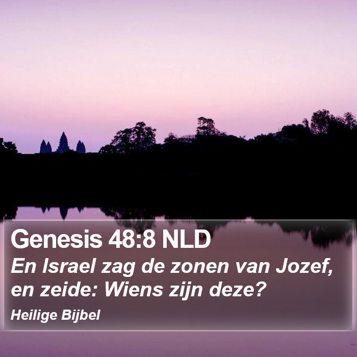 Genesis 48:8 NLD Bible Study