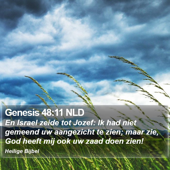 Genesis 48:11 NLD Bible Study