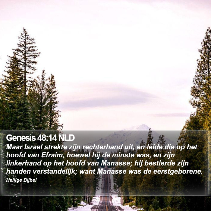 Genesis 48:14 NLD Bible Study