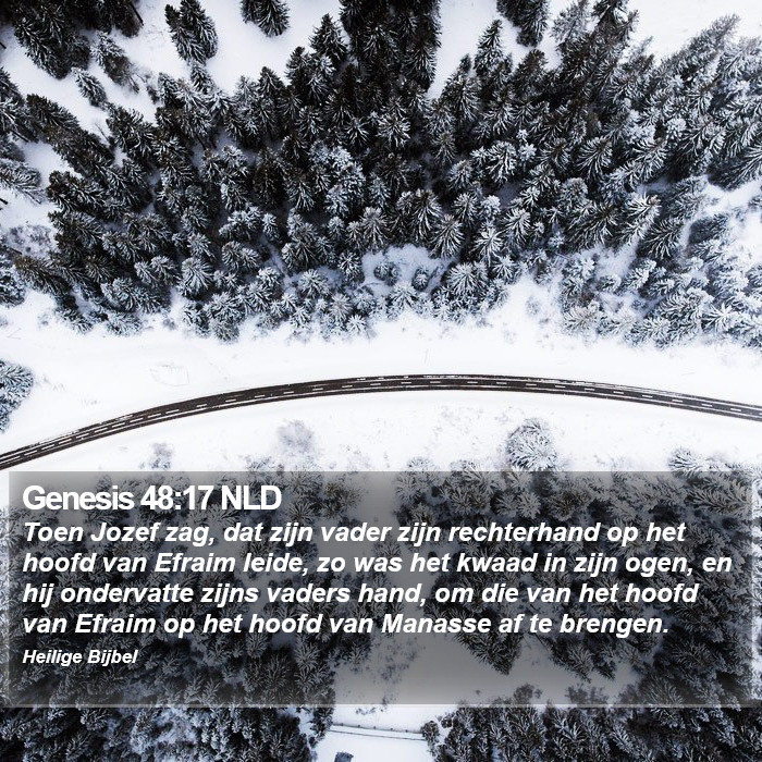 Genesis 48:17 NLD Bible Study