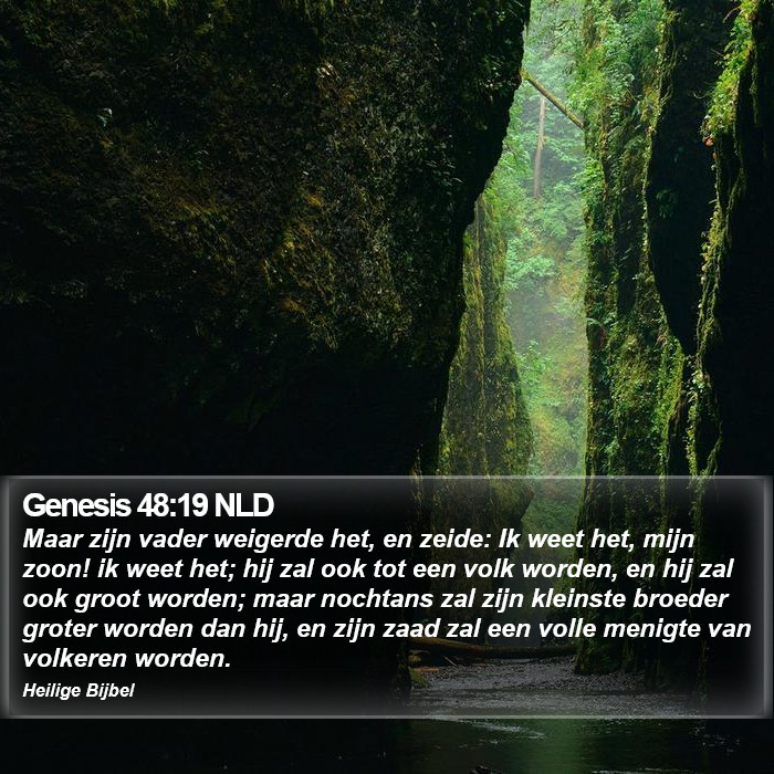 Genesis 48:19 NLD Bible Study