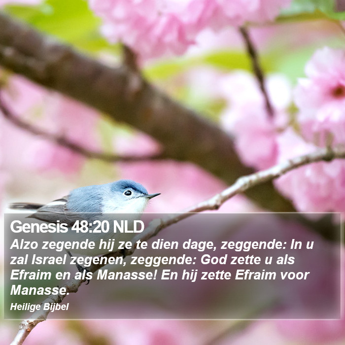 Genesis 48:20 NLD Bible Study