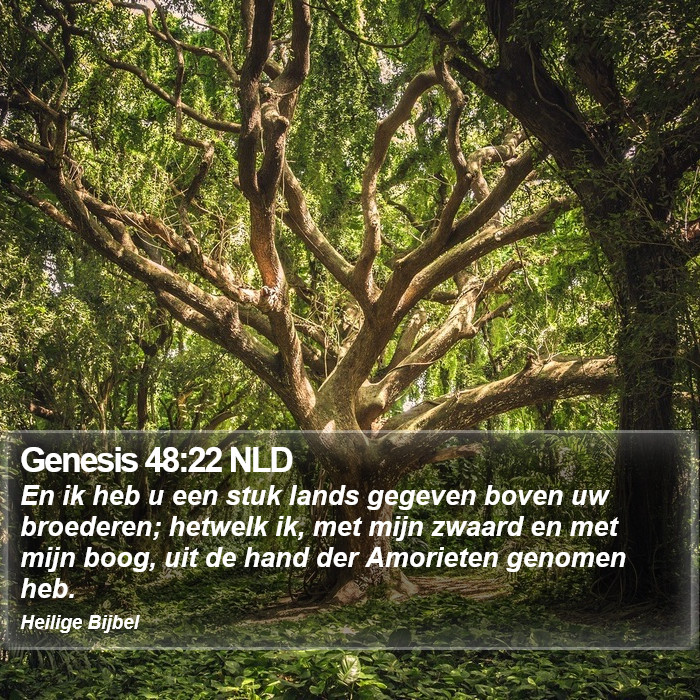 Genesis 48:22 NLD Bible Study