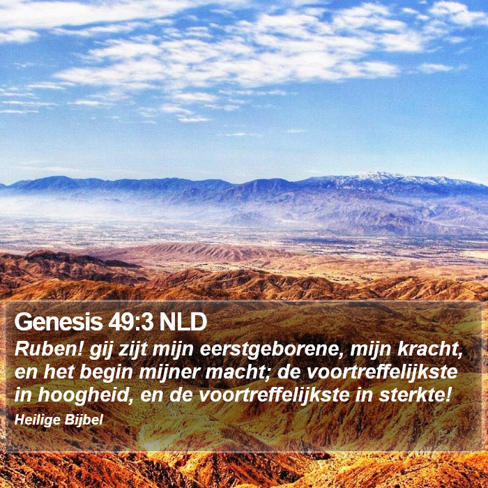 Genesis 49:3 NLD Bible Study