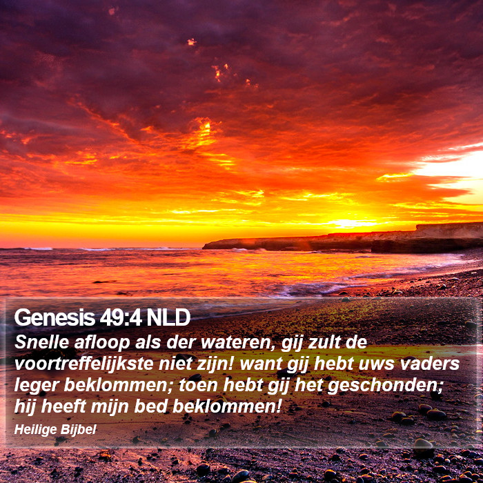 Genesis 49:4 NLD Bible Study