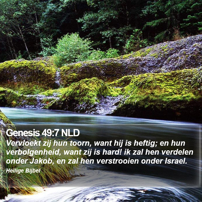 Genesis 49:7 NLD Bible Study