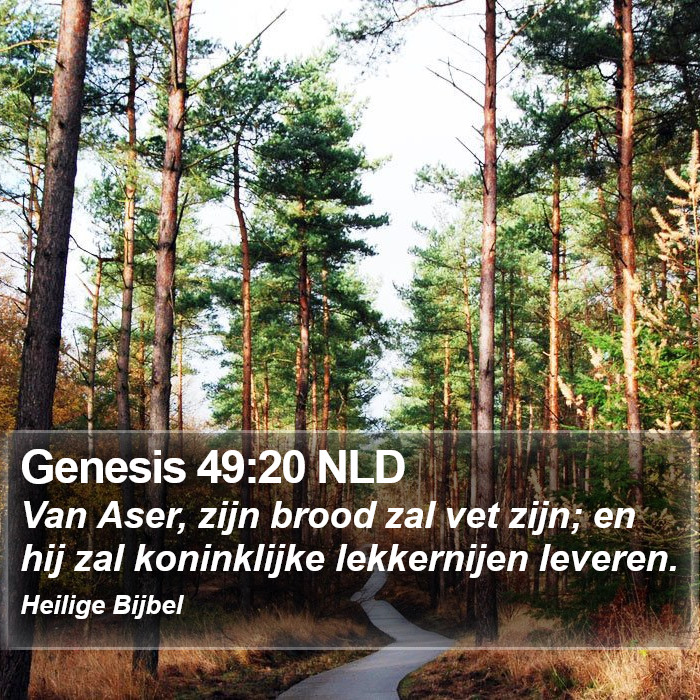 Genesis 49:20 NLD Bible Study