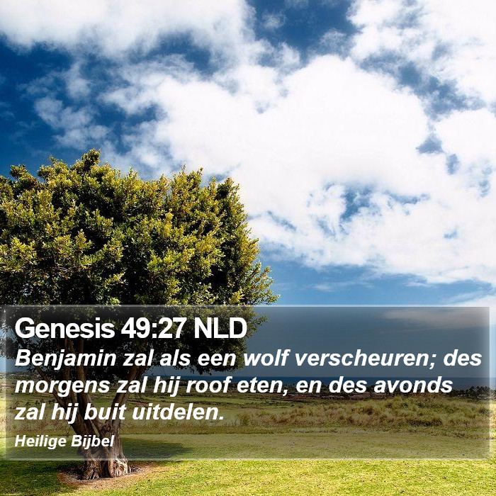 Genesis 49:27 NLD Bible Study