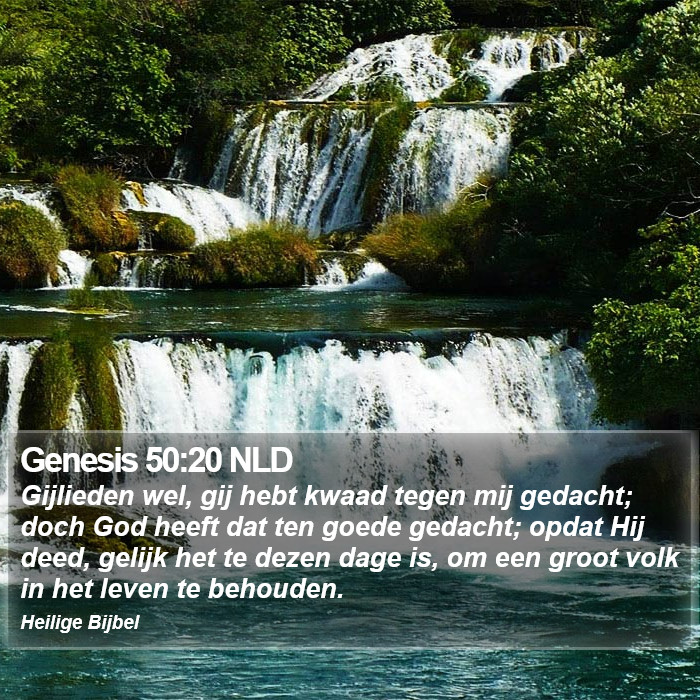 Genesis 50:20 NLD Bible Study