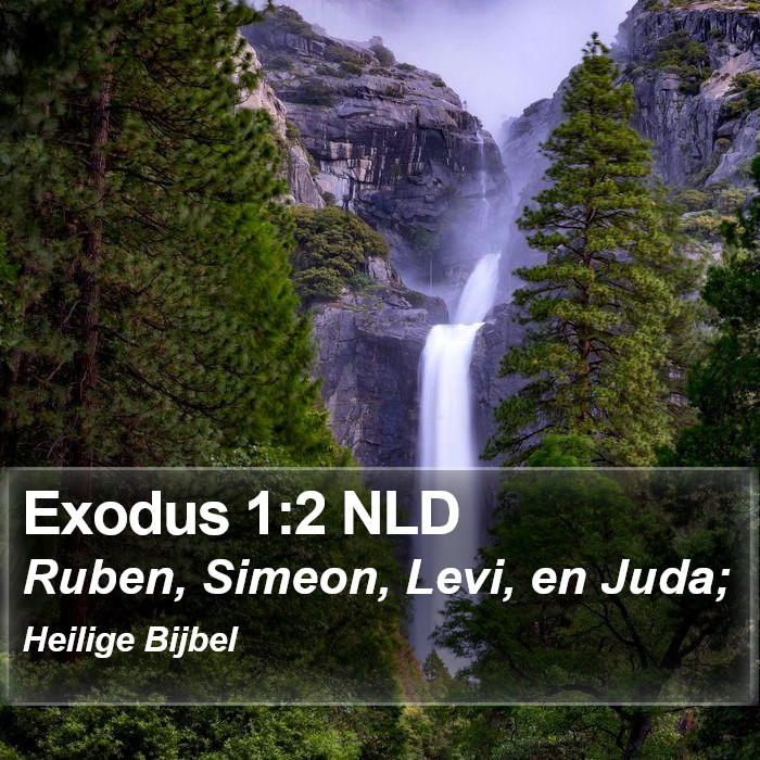 Exodus 1:2 NLD Bible Study