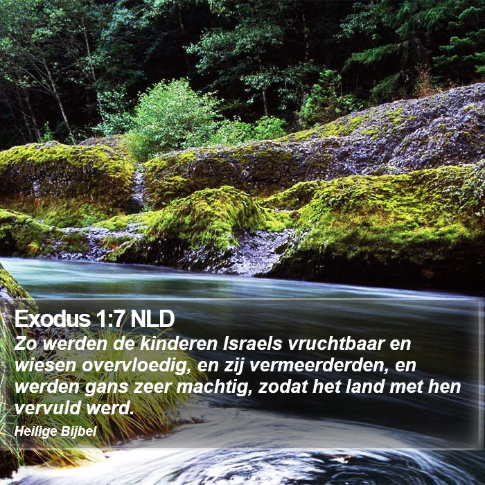 Exodus 1:7 NLD Bible Study