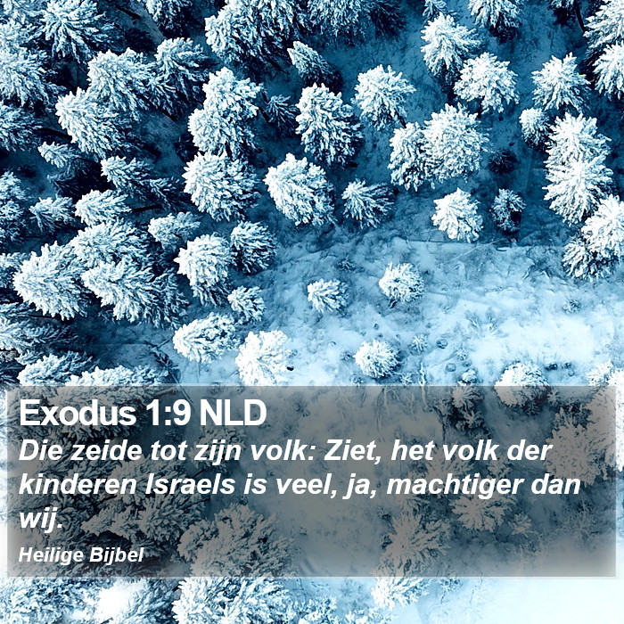 Exodus 1:9 NLD Bible Study