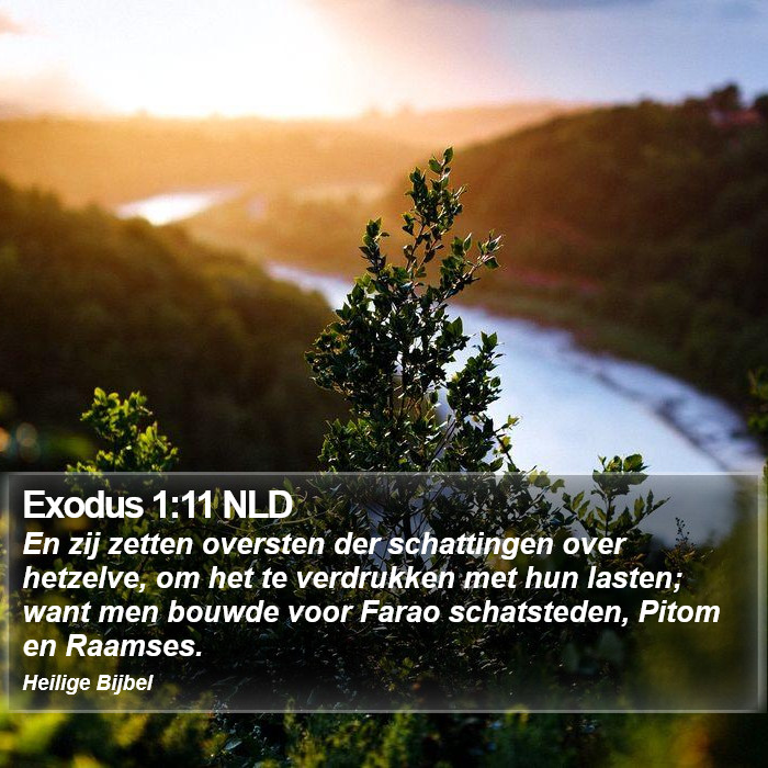 Exodus 1:11 NLD Bible Study