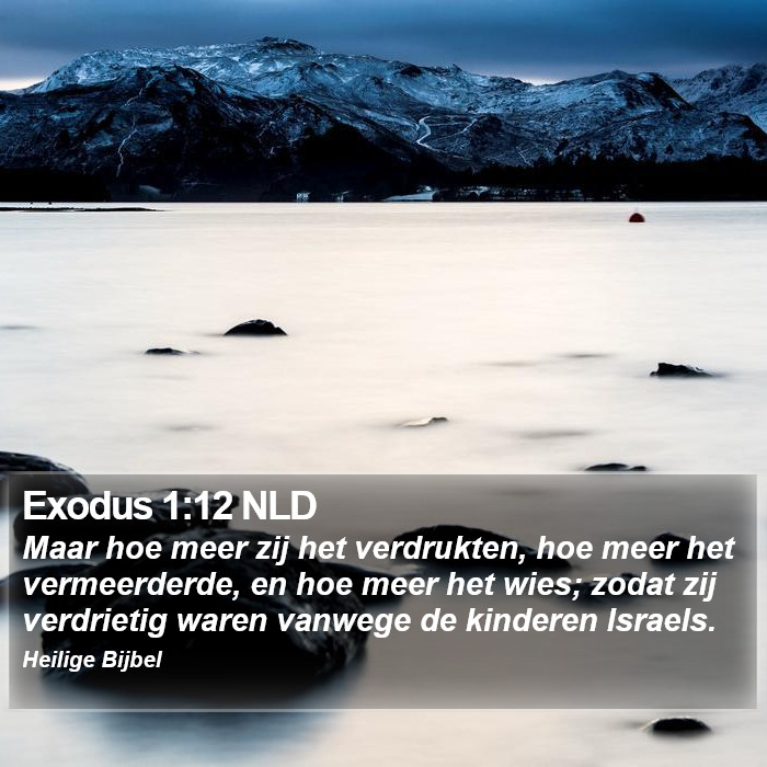 Exodus 1:12 NLD Bible Study