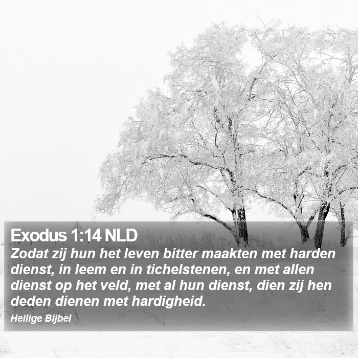 Exodus 1:14 NLD Bible Study